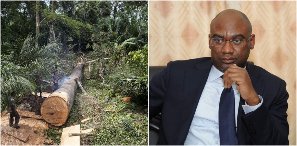 Environnement : le ministre Kokoroko veut “remettre de l’ordre” dans les forêts du Togo