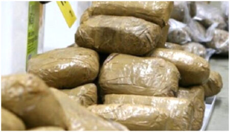 Kpalimé : découvrez la quantité hallucinante de cannabis saisie par la Gendarmerie ! La Gendarmerie nationale togolaise a frappé un grand coup à Kpalimé, dans la commune de Kloto 1, entre le 17 et le 18 novembre 2025.