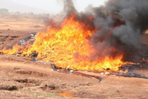 Spinosaurus mirabilis : découverte au Niger d’un géant vieux de 95 millions d’années