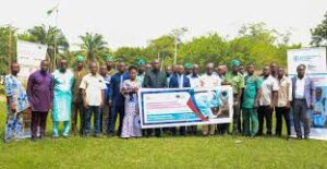 Togo : 3,5 milliards FCFA injectés par la FAO pour la sécurité alimentaire