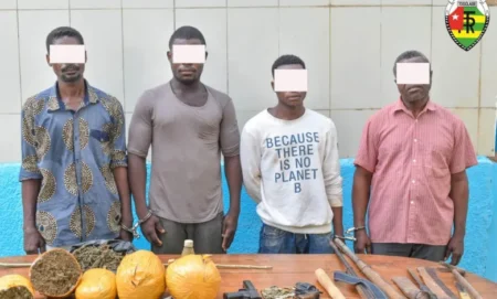 Agou : quatre individus arrêtés pour trafic d’armes et de drogue