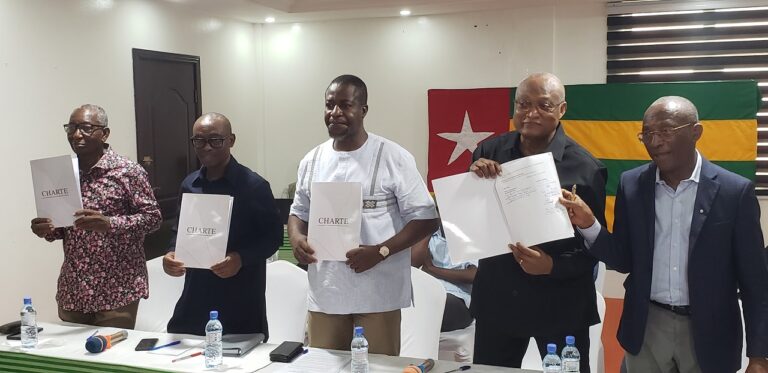 Togo : l’opposition dévoile son plan pour renverser la donne !