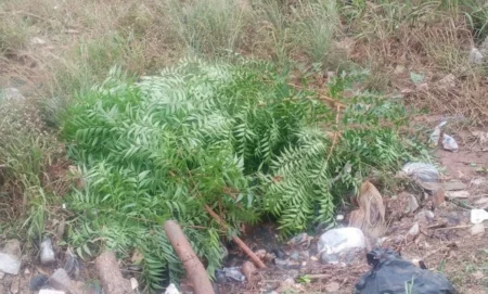 Adidogomé sous le choc : un corps découvert dans un caniveau Adidogomé sous le choc : un corps découvert dans un caniveau