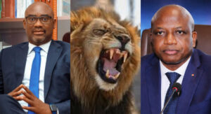 Lion de Klobatémé : Voici les révélations du gouvernement après les enquêtes