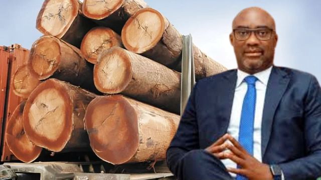 Le ministère en charge de l’Environnement lance une vente aux enchères de bois
