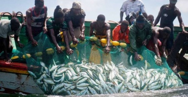 Pêche illicite au Togo : Jusqu’à 500 000 FCFA d’amende Pêche illicite au Togo : Jusqu'à 500 000 FCFA d'amende