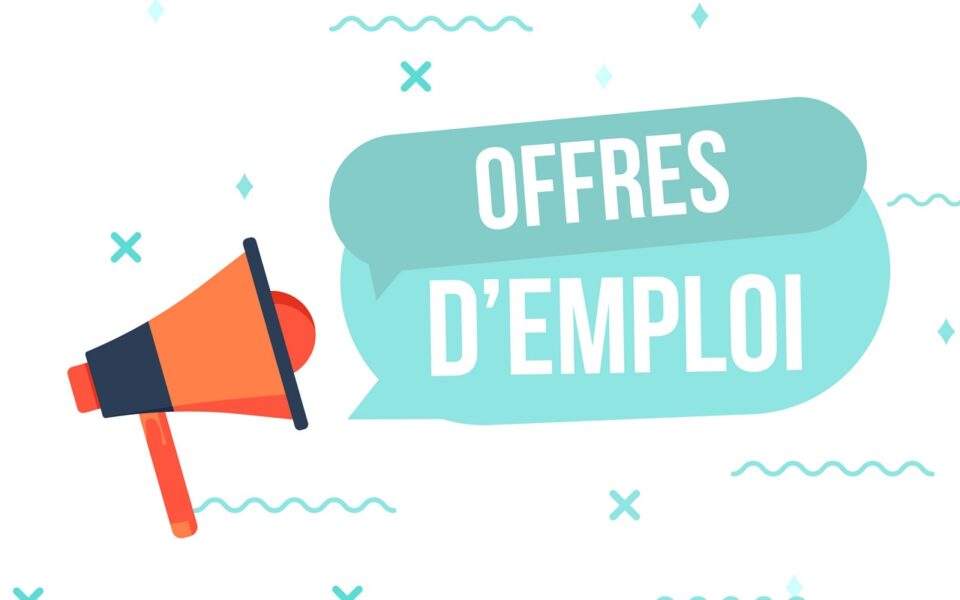 Les Nations Unies recrutent un Project Coordinator à Lomé